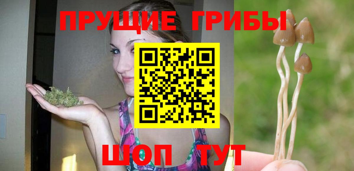Дербент  Псилоцибиновые грибы Cubensis  Галлюциногенные грибы мицелий  Вход с VPN 